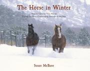The Horse in Winter by Susan McBane