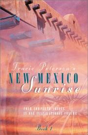 Cover of: New Mexico Sunrise: A Place to Belong/Perfect Love/Tender Journeys/The Willing Heart (Inspirational Romance Collection)