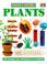 Cover of: Plants (Make it Work! Science)