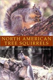 Cover of: North American Tree Squirrels