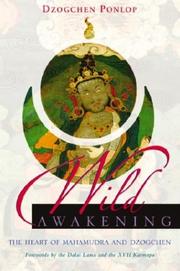Cover of: Wild awakening: The heart of Mahamudra and Dzogchen