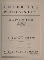 Cover of: Under the plantain leaf: a day with three insects