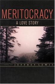 Cover of: Meritocracy: a love story, a novel