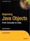 Cover of: Beginning Java Objects