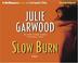 Cover of: Slow Burn