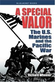 Cover of: A special valor by Richard Wheeler