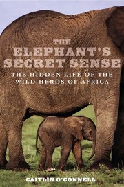 Cover of: The elephant