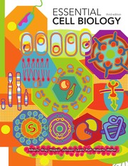 Cover of: Essential cell biology by Bruce Alberts ... [et al.].