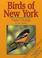 Cover of: Birds of New York Field Guide