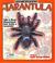 Cover of: Uncover a Tarantula