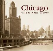 Chicago Then and Now (Then & Now Thunder Bay) by Elizabeth McNulty