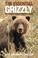 Cover of: The Essential Grizzly