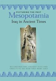 Cover of: Mesopotamia: Iraq in Ancient Times (Picturing the Past)