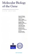 Cover of: Molecular biology of the gene | 