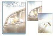 Cover of: A Dog's Life Notecard Portfolio by Peter McCarty