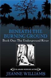 The Underground River by Jeanne Williams