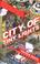 Cover of: City of Tiny Lights