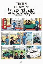 Cover of: Tintin au pays de l'or noir