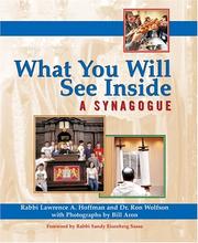 Cover of: What You Will See Inside: A Synagogue (What You Will See Inside)