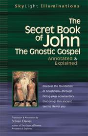 Cover of: The Secret Book Of John: The Gnostic Gospel / Annotated & Explained (Skylight Illuminations)
