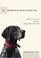 Cover of: 10 secrets my dog taught me
