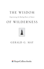 the-wisdom-of-wilderness-cover
