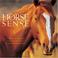 Cover of: Horse Sense