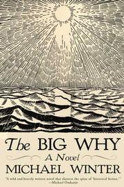 Cover of: The big why by Winter, Michael