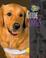 Cover of: Guide Dogs (Dog Heroes)