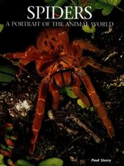 Cover of: Spiders by Paul Sterry