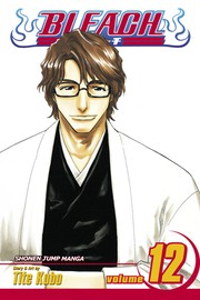 Cover of: Bleach vol 12 by Tite Kubo