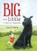 Cover of: Big and Little