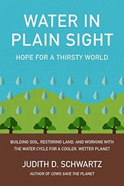 Cover of: Water in Plain Sight: Hope for a Thirsty World