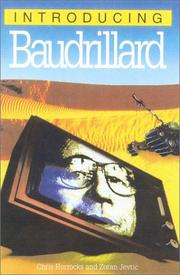 Cover of: Introducing Baudrillard, 2nd Edition (Introducing...(Totem))