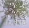Cover of: Jane packer's flowers