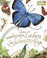 Cover of: Das wundersame Leben der Schmetterlinge