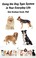 Cover of: Using the Dog Type System in Your Everyday Life