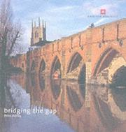 Cover of: Bridging the Gap by Peter Ashley