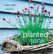 Planted junk by Adam Caplin