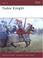 Cover of: Tudor Knight (Warrior)