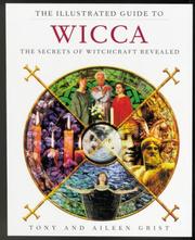 Cover of: The Illustrated Guide to Witchcraft