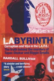 LAbyrinth by Randall Sullivan