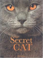 Cover of: Secret Cat by Angela Rixon