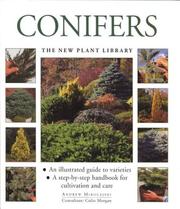 Cover of: Conifers by Andrew Mikolajski