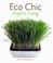 Cover of: Eco Chic