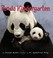 Cover of: Panda Kindergarten