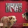 Cover of: Survivor Dogs I 01. Die verlassene Stadt