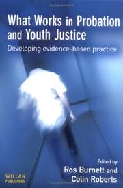 Cover of: What Works in Probation and Youth Justice: Developing Evidence-Based Practice