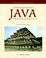 Cover of: Introduction to Java Programming