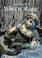 Cover of: Jan Messent's Wool 'n Magic (Search Press Classics)